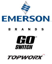 Emerson Process Management